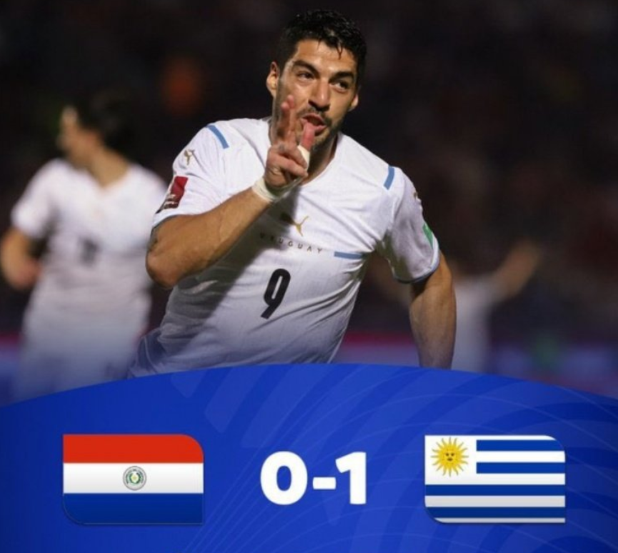 世界杯赔率刷新纪录，竞猜热度飙升