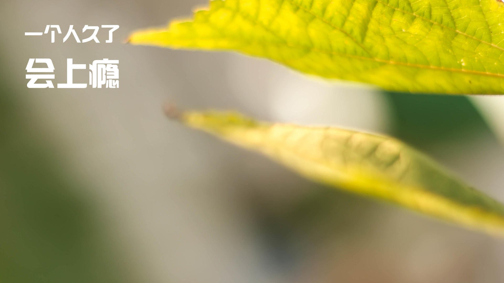 孤胆英雄!穆勒第93分钟一剑封喉,国际米兰洲际杯绝杀墨西哥