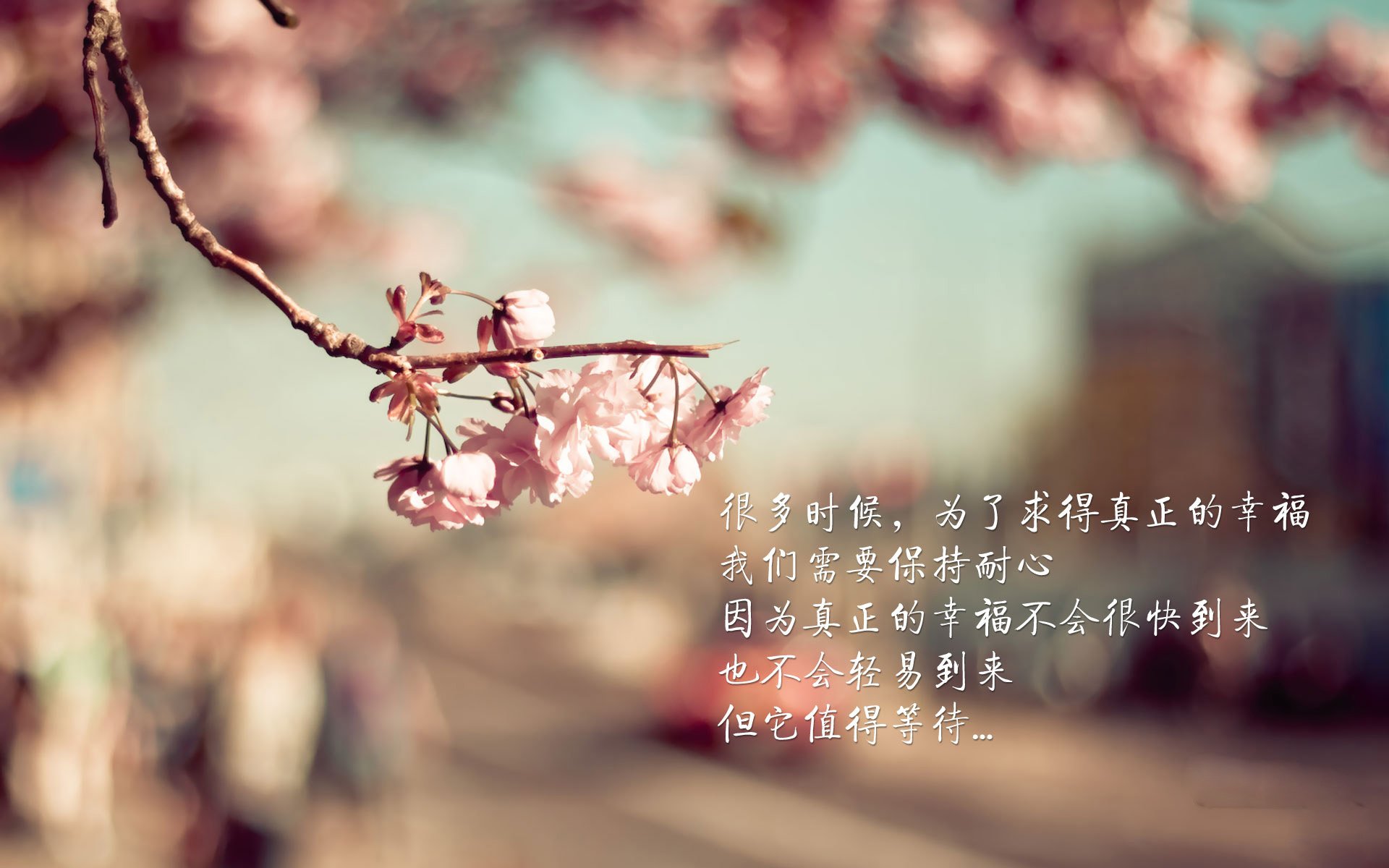 天网·边境，乔治在美加墨世界杯之夜铸就的钢铁防线