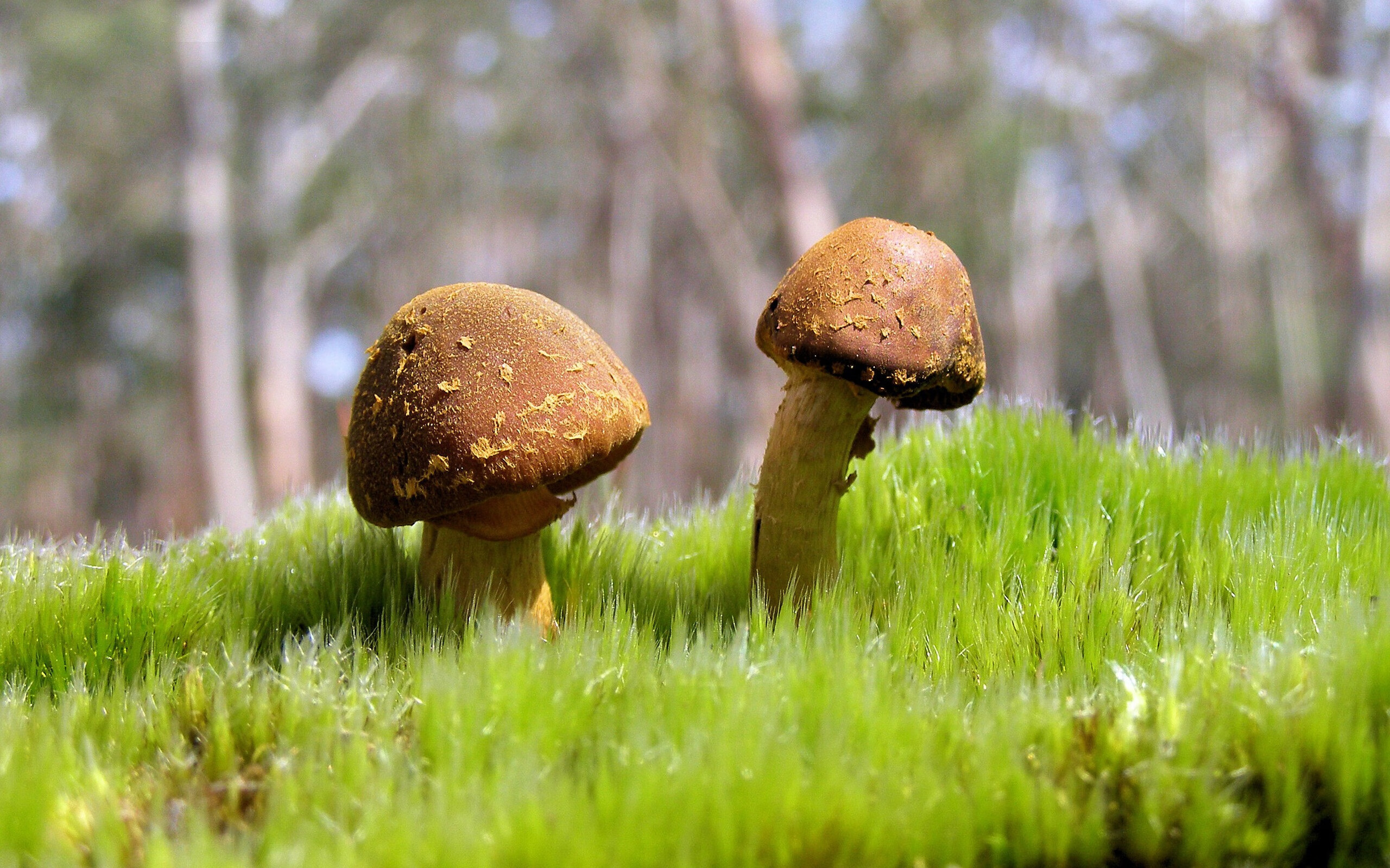 跨时空对决,贝恩准三双+窒息防守,山西险胜76人于平行宇宙