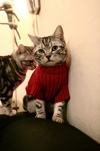 幻影对决，厄德高在虚拟时空打出统治级数据，揭示足球的未来形态