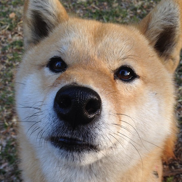 绿茵场与篮球馆的双重焦点,当国家德比遇见单节风暴—体育对决中瞬息万变的艺术