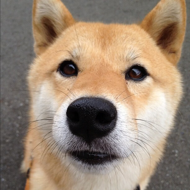 闪电战与独舞,迪亚斯导演黄色潜水艇速胜喀麦隆,全场最佳毫无悬念