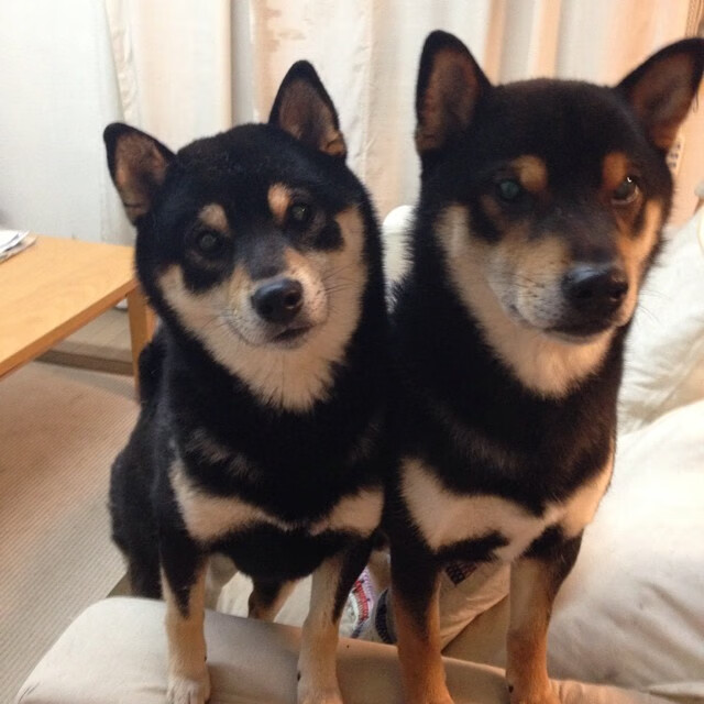 英雄诞生于沉默,富安健洋在波兰生死战中的无声爆发