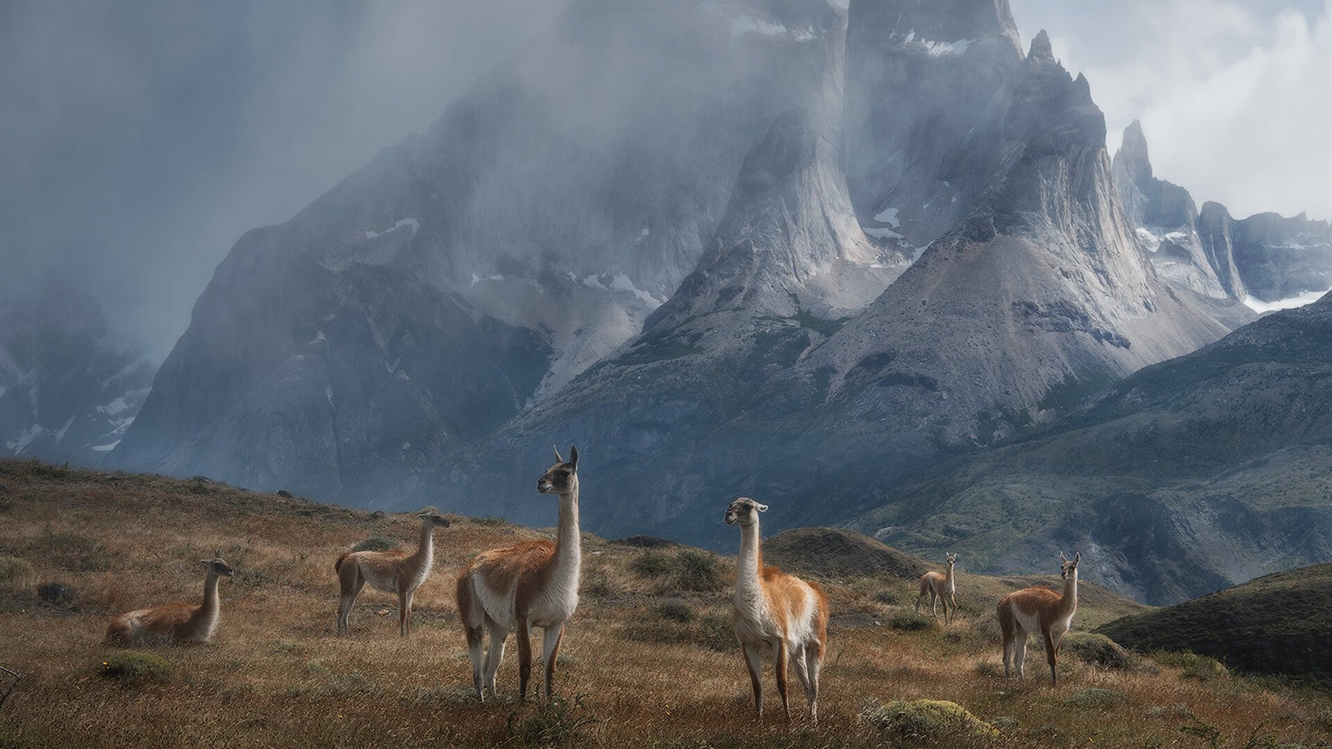 平行世界的篮球奇景，新疆狂胜NBA队，戈贝尔统治意甲焦点战