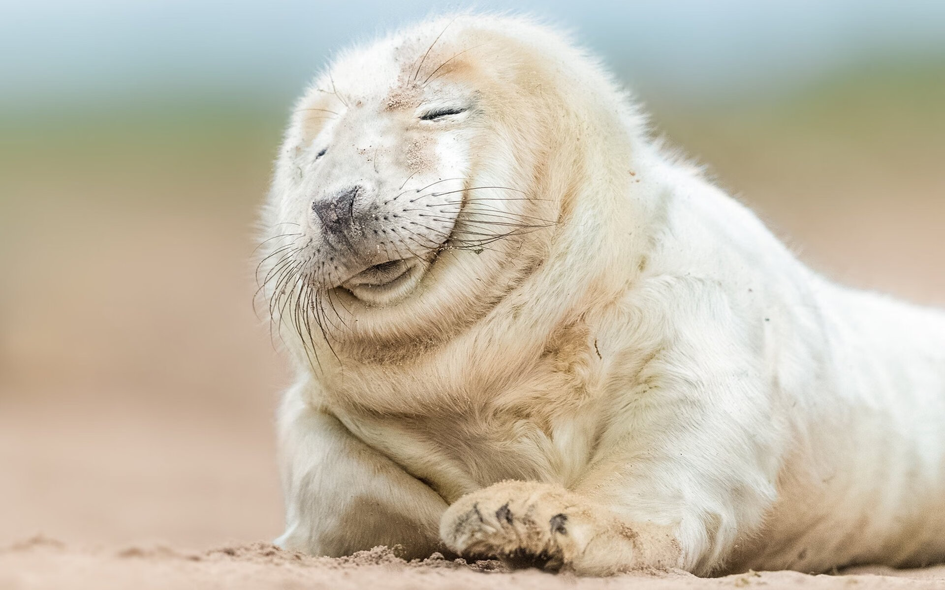 两重门，守护与绝杀，门迪如何用120分钟定义巨星价值