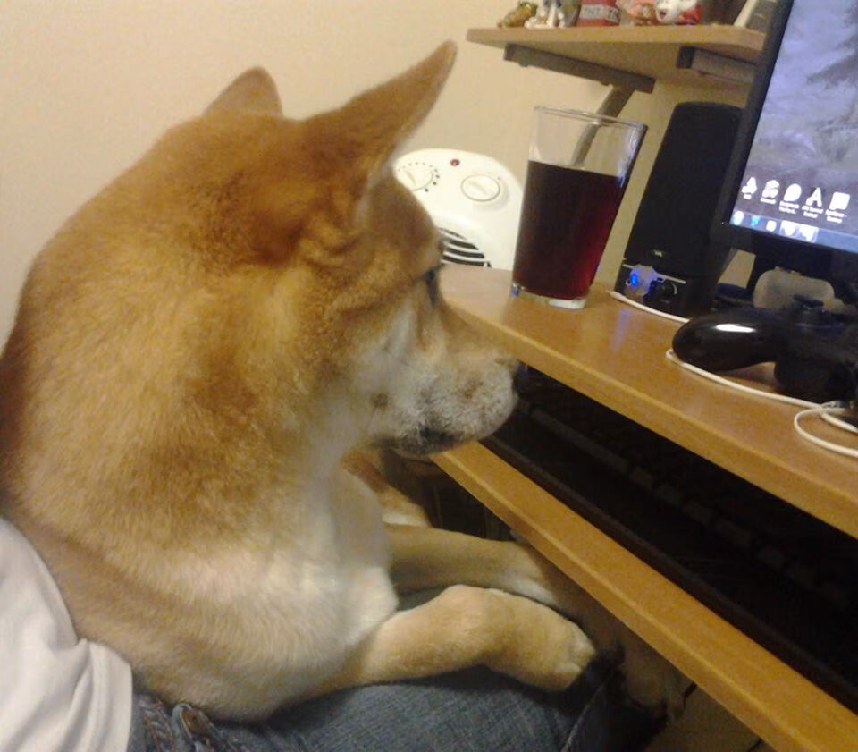 当马刺如潮水淹没魔术，字母哥正以神的名义接管世界