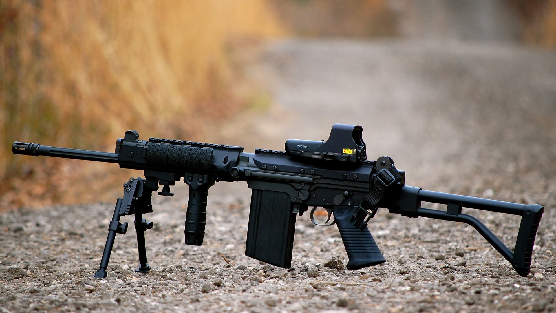 墨西哥城午夜的命运之钟，当布鲁诺在科约阿坎区停下脚步