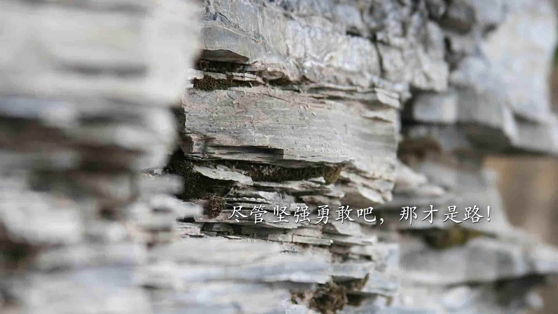 关键先生特奥闪耀，突尼斯争冠战击败南非