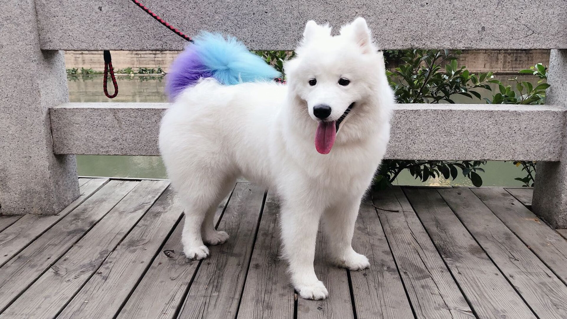 开云体育app-刀尖上的舞蹈，绝杀狂欢背后，是更残忍的持续伤害