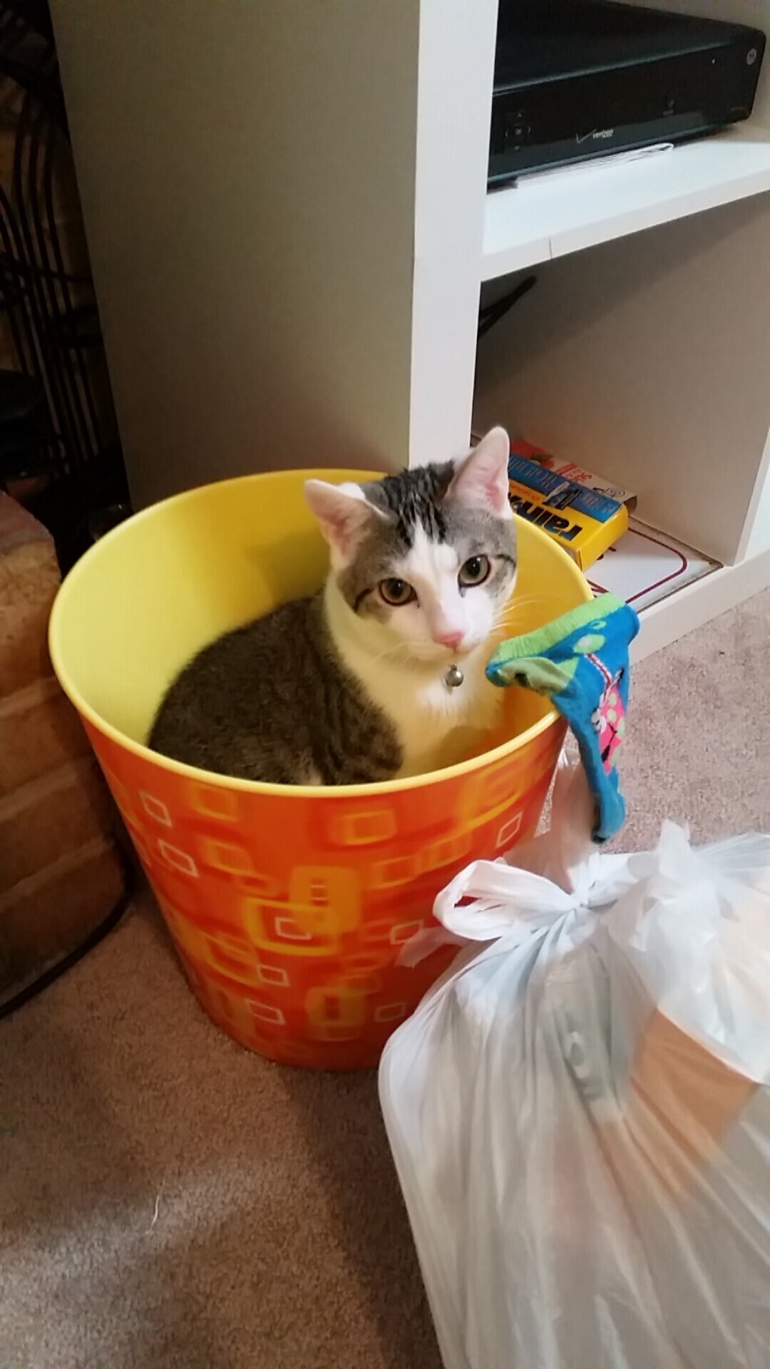 跨界风暴，步行者压哨胜骑士，武切维奇F1揭幕战上演速度与激情