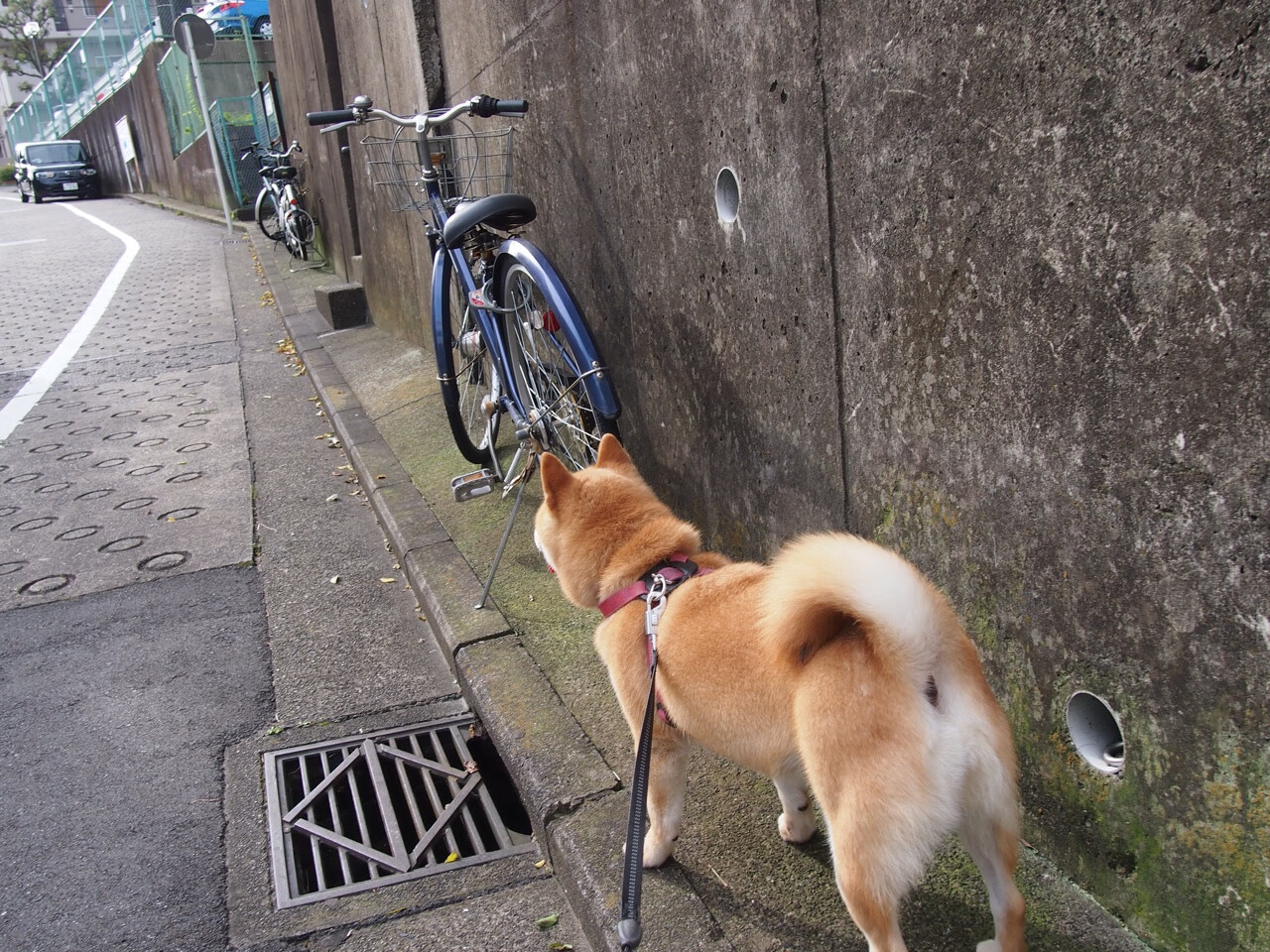 费城节奏刀，76人如何用切特时间差肢解湖人防守