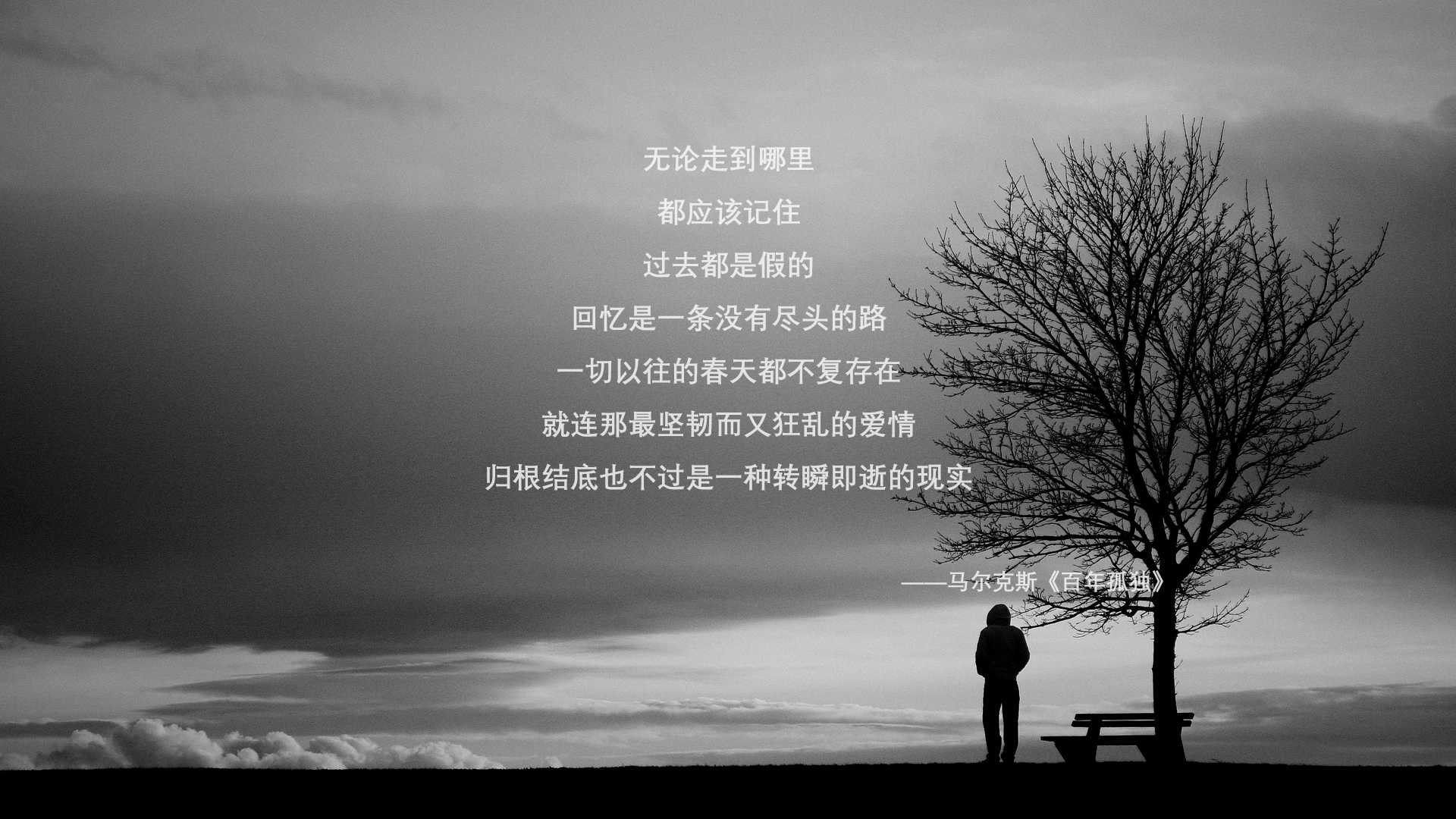 以下是为你构思的标题与文章