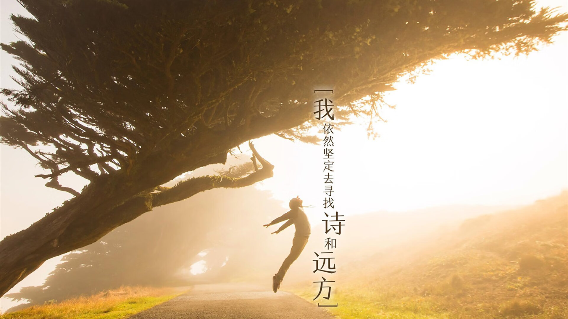 极寒之地的轰鸣，2026世界杯G组维京战吼震碎纸牌屋，京多安化身冰岛中场大脑上演教科书式碾压