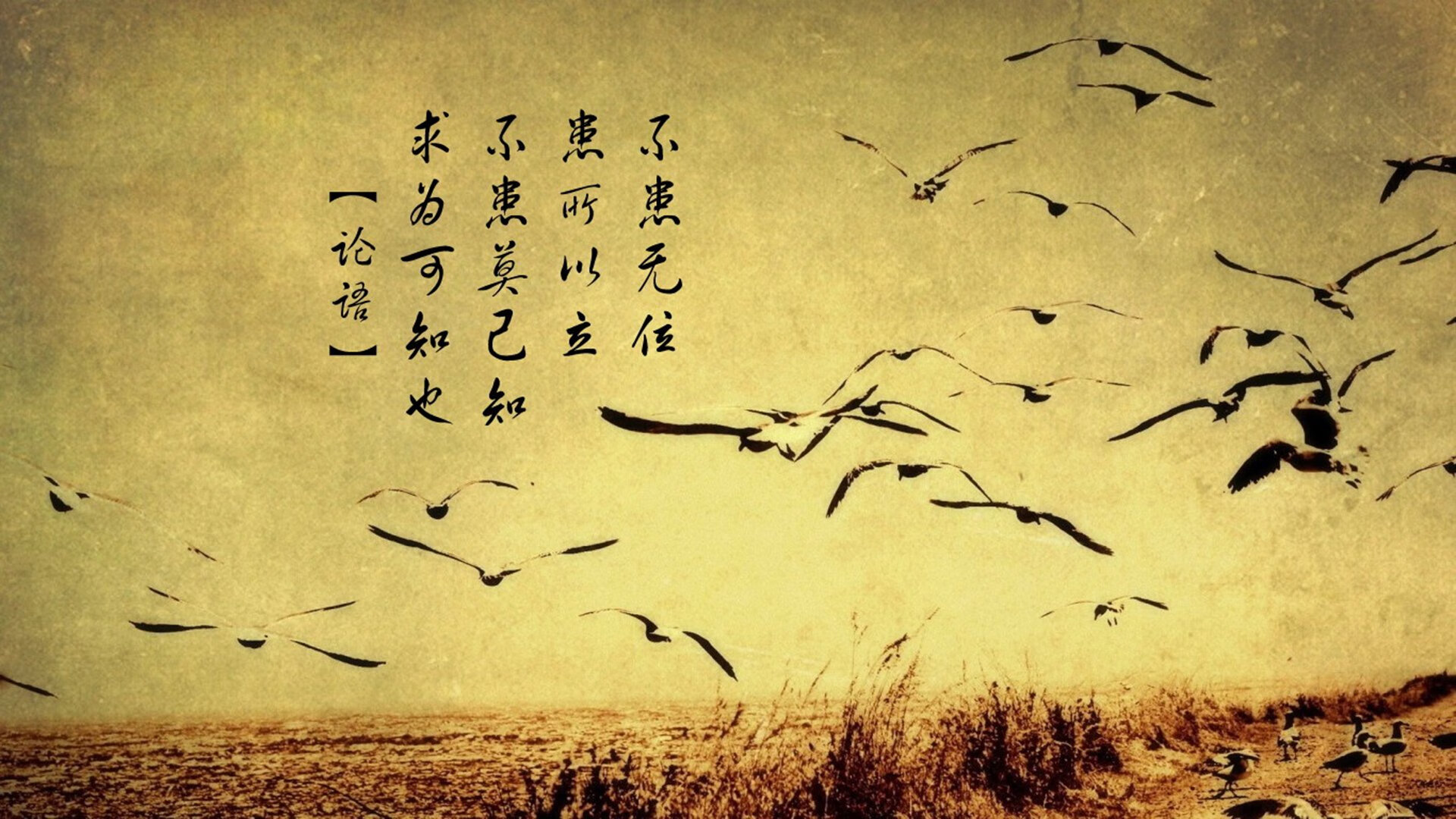 利马之夜，被B费抢戏的南美奇迹，以及2026世界杯D组那场唯一的绝杀